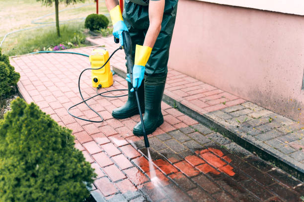Best Building Exterior Washing  in Honaunau Napoopoo, HI